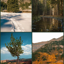 Four Seasons Gathering