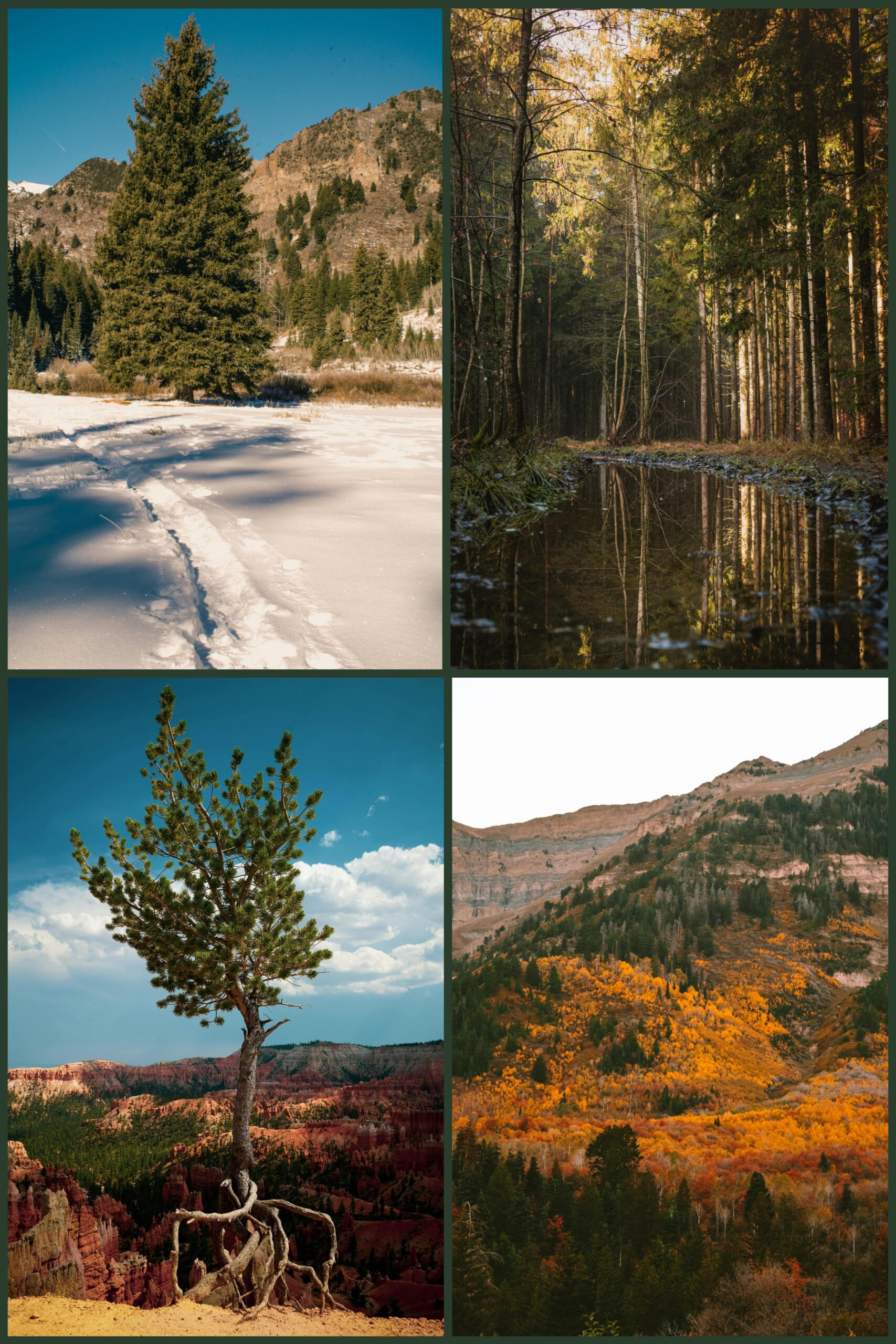 Four Seasons Gathering